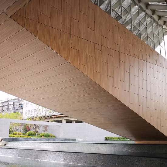 Chapa de revestimiento de pared exterior de superficie de madera laminada compacta